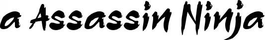 a Assassin Ninja