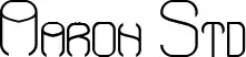 Aaron Std