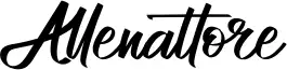 Allenattore