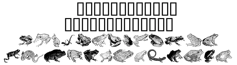 AmphibiPrint font