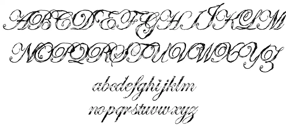 Antatomy font