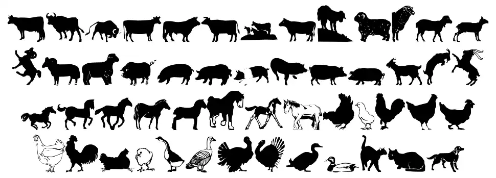 Barnyard font