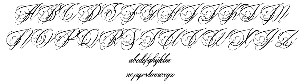 Beaked Tyrant font