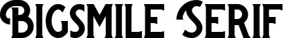 Bigsmile Serif