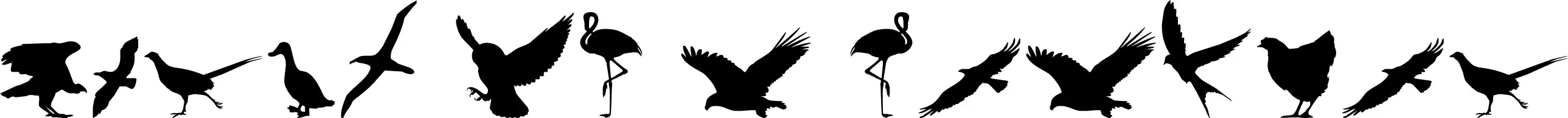 Birds of a Feather