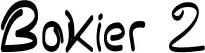 Bokier 2