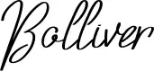 Bolliver