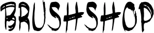 Brushshop