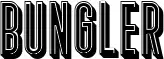 Bungler