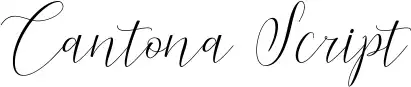 Cantona Script