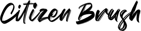Citizen Brush