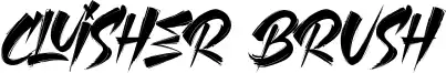 Cluisher Brush
