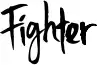 Fighter
