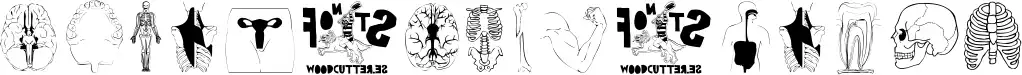 Human Body Parts