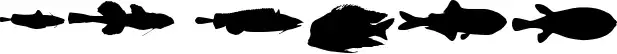 Le Fish