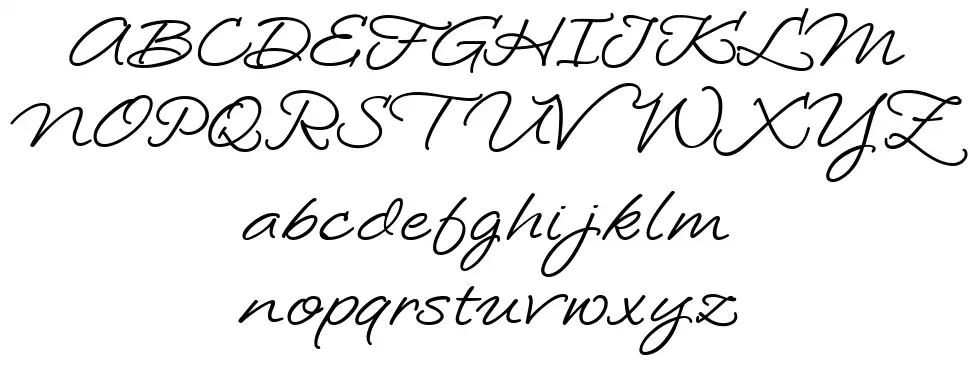 Loosie Script font