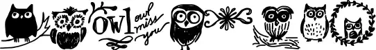 Owlmazing