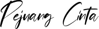 Pejuang Cinta