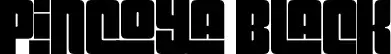 Pincoya Black font