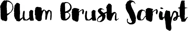 Plum Brush Script