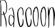 Raccoon font