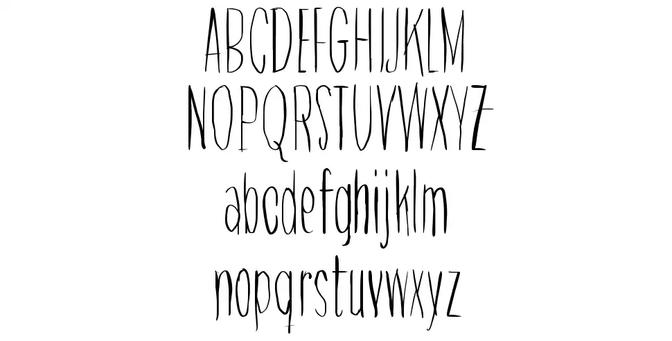Raccoon font