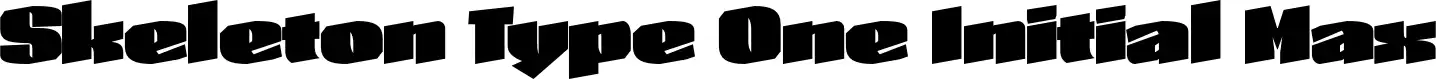 Skeleton Type One Initial Max