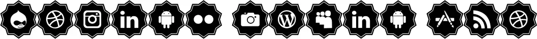 Social Media Pro
