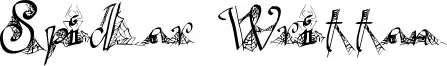 Spider Written