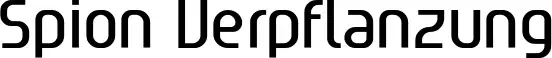 Spion Verpflanzung