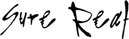 Sure Real font