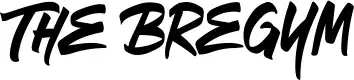 The Bregym