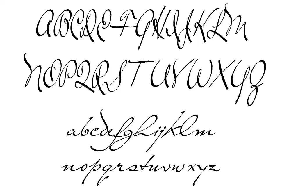 The Loyalist font