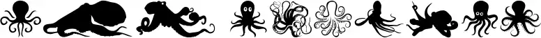 The Octopus