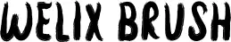 Welix Brush