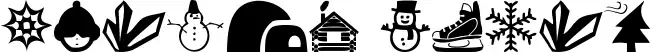 Winter Icons