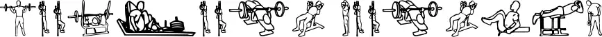 Workout Routine