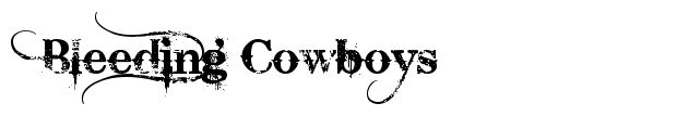 http://www.fontriver.com/i/previews/bleeding_cowboys.png