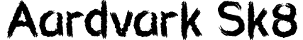 Aardvark Sk8