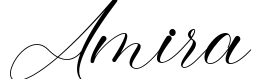 Amira