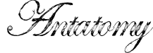 Antatomy