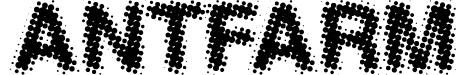 Antfarm