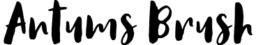 Antums Brush