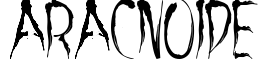 Aracnoide