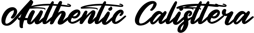 Authentic Calisttera