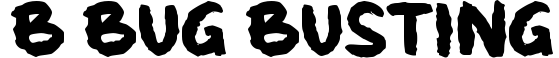 b Bug Busting