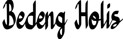 Bedeng Holis