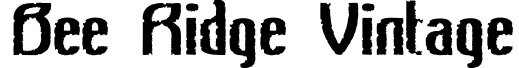 Bee Ridge Vintage