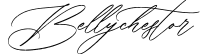 Bellychestor