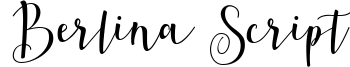 Berlina Script